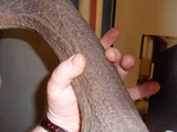 ungarn oktober 2008 162.jpg
